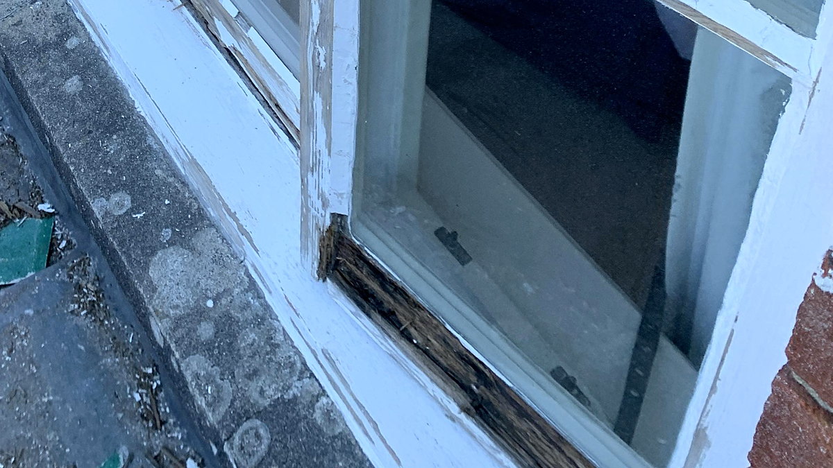 An old timber casement with its bottom rail rotted through and the paint flaking